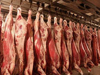 Высококачественные продукты быстрого приготовления – главные помощники хозяйки в наше время