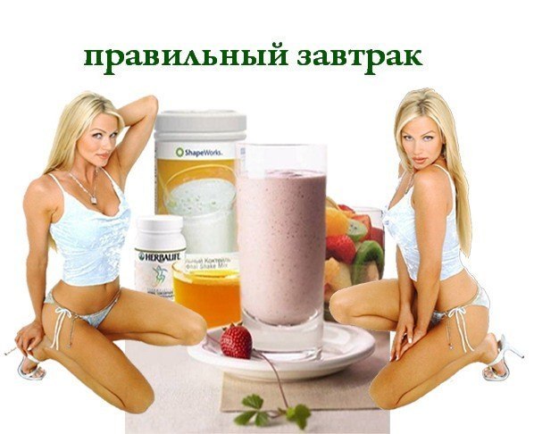 Основы здорового питания для похудения и сохранения здоровья
