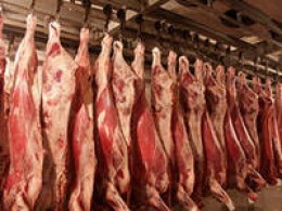 Высококачественные продукты быстрого приготовления – главные помощники хозяйки в наше время