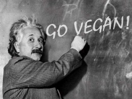Вегетарианцы и веганы